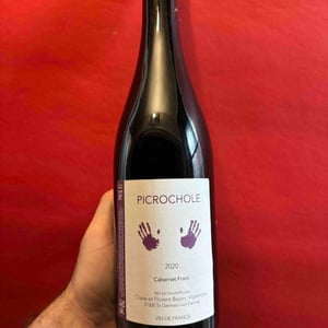 Picrochole - Claire & Florent Bejon - Claire & Florent Bejon 