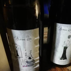 Pied de Nez - Catherine Riss - catherine-riss