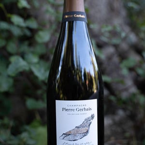 Grains De Celles - Champagne Pierre Gerbais - pascal-gerbais