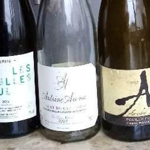 Domaine Alexandre Bain - Alexandre Bain - Pierre Précieuse