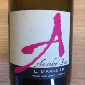 Domaine Alexandre Bain - Alexandre Bain - Pierre Précieuse