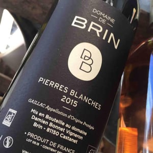 Domaine de Brin - Damien Bonnet - Pierres Blanches