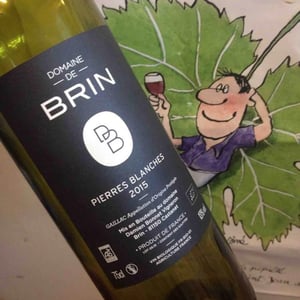 Pierres Blanches - Domaine de Brin - damien-bonnet