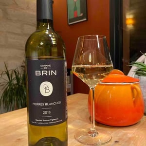 Domaine de Brin - Damien Bonnet - Pierres Blanches