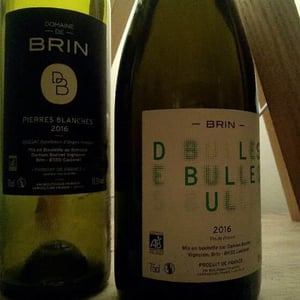 Pierres Blanches - Domaine de Brin - damien-bonnet