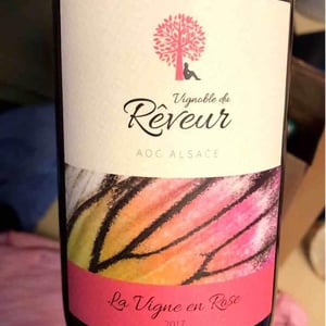 Vignoble du Rêveur - Mathieu Deiss & Emmanuelle Milan - Pierres Sauvages