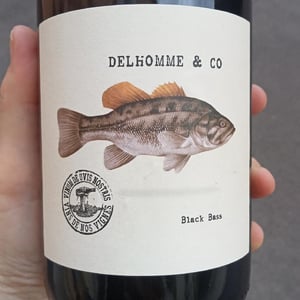 Pifounours - Delhomme & co - baptiste-delhomme