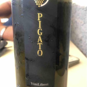 Pigato - Le Rocche del Gatto - Fausto De Andreis 