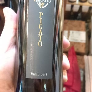 Pigato - Le Rocche del Gatto - fausto-de-andreis-ns