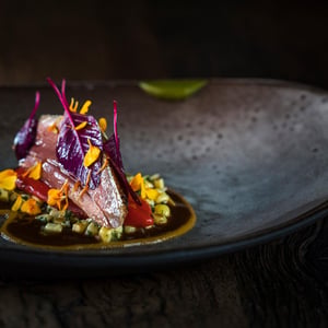 Pigeon - Aux Terrasses - 684485
