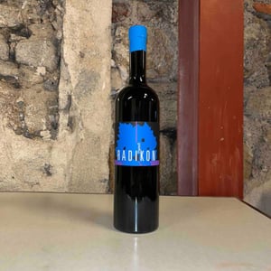 Pignoli - Radikon - famiglia-radikon