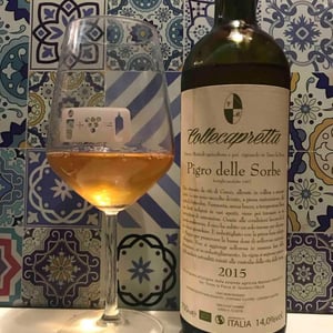 Pigro Delle Sorbe - Collecapretta - Anna & Vittorio Mattioli 