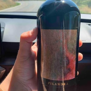 Pilandra - Azienda Vinicola Falzari - Sergio Falzari 