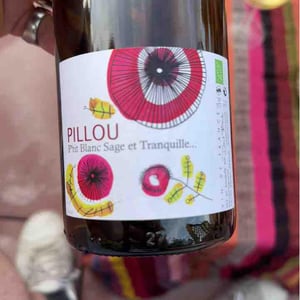 Pillou - David Bautin - david-bautin