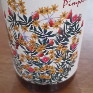 Pimpant - Domaine Capmartin - Famille Capmartin 