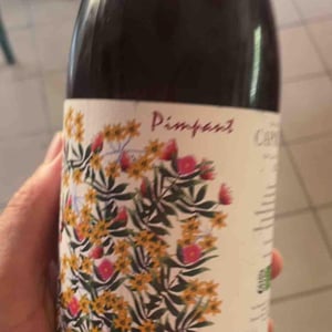 Pimpant - Domaine Capmartin - famille-capmartin