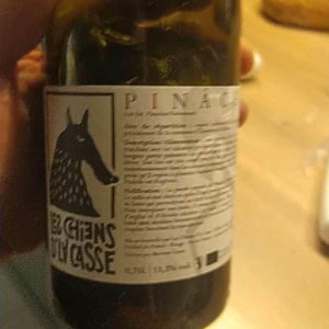 Pinache 2019 - Les Chiens d'la Casse - jeremy-razafintsalama