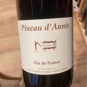 Pineau d'Aunis - Clos du Tue-Bœuf - Zoé, Louise & Thierry Puzelat 
