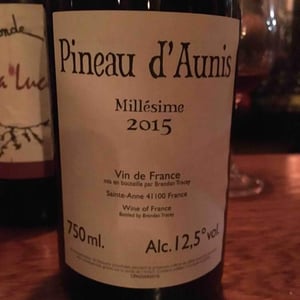 Pineau d'Aunis - Domaine Le Clocher - Les Vins de Sainte Anne - Brendan & Sean Tracey 