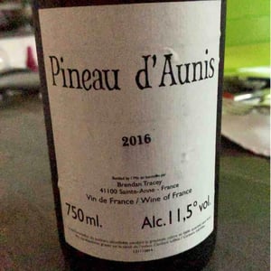 Pineau d'Aunis - Domaine Le Clocher - Les Vins de Sainte Anne - brendan-sean-tracey