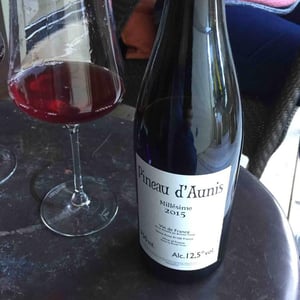 Domaine Le Clocher - Les Vins de Sainte Anne - Brendan & Sean Tracey - Pineau d'Aunis