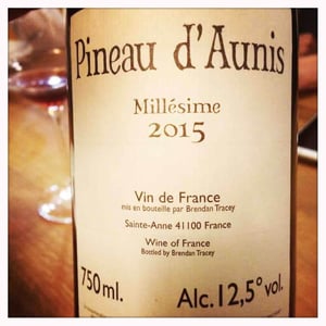 Pineau d'Aunis - Domaine Le Clocher - Les Vins de Sainte Anne - brendan-sean-tracey
