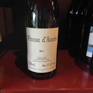 Pineau d'Aunis - Domaine Le Clocher - Les Vins de Sainte Anne - brendan-sean-tracey