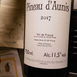 Pineau d'Aunis - Domaine Le Clocher - Les Vins de Sainte Anne - Brendan & Sean Tracey 