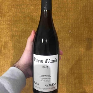 Pineau d'Aunis - Domaine Le Clocher - Les Vins de Sainte Anne - brendan-sean-tracey