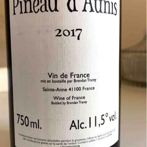 Pineau d'Aunis - Domaine Le Clocher - Les Vins de Sainte Anne - brendan-sean-tracey