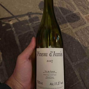 Pineau d'Aunis - Domaine Le Clocher - Les Vins de Sainte Anne - Brendan & Sean Tracey 