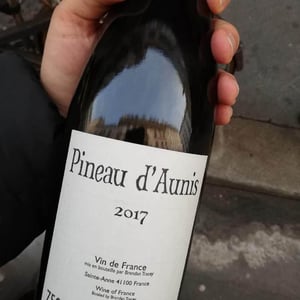 Pineau d'Aunis - Domaine Le Clocher - Les Vins de Sainte Anne - brendan-sean-tracey