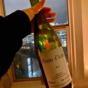 Domaine Le Clocher - Les Vins de Sainte Anne - Brendan & Sean Tracey - Pineau d'Aunis