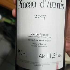 Pineau d'Aunis - Domaine Le Clocher - Les Vins de Sainte Anne - brendan-sean-tracey
