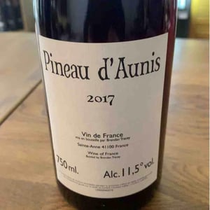 Pineau d'Aunis - Domaine Le Clocher - Les Vins de Sainte Anne - brendan-sean-tracey