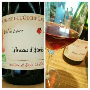 Pineau d'Aunis - Domaine de l'Ouche Gaillard - gabriele-et-regis-dansault