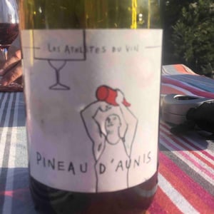 Pineau d'Aunis - Les Athlètes Du Vin - gerard-vallee-matthieu-vallee-christophe-ferrandis