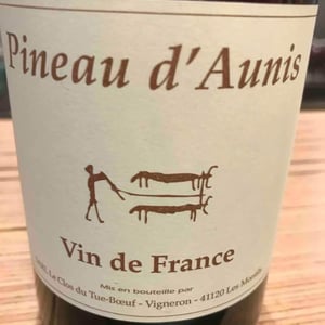 Pineau d'Aunis - Clos du Tue-Bœuf - Zoé, Louise & Thierry Puzelat 