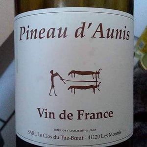 Pineau d'Aunis - Clos du Tue-Bœuf - zoe-louise-thierry-puzelat