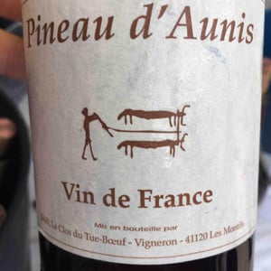 Pineau d'Aunis 2015