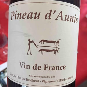 Pineau d'Aunis - Clos du Tue-Bœuf - zoe-louise-thierry-puzelat