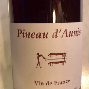Pineau d'Aunis - Clos du Tue-Bœuf - zoe-louise-thierry-puzelat