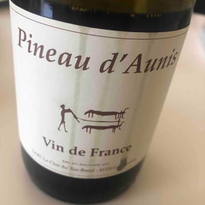 Clos du Tue-Bœuf - Zoé, Louise & Thierry Puzelat - Pineau d'Aunis