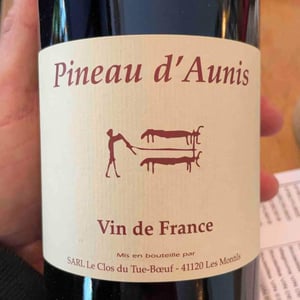 Pineau d'Aunis - Clos du Tue-Bœuf - zoe-louise-thierry-puzelat