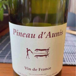 Pineau d'Aunis - Clos du Tue-Bœuf - zoe-louise-thierry-puzelat