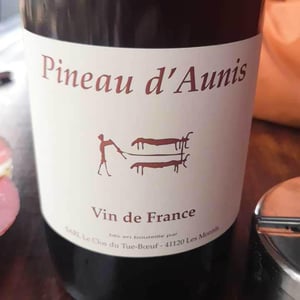 Pineau d'Aunis - Clos du Tue-Bœuf - Zoé, Louise & Thierry Puzelat 