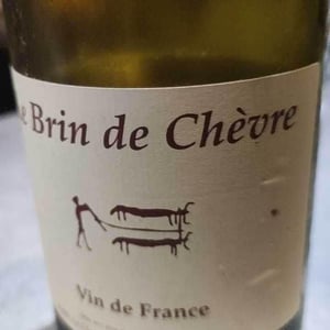 Clos du Tue-Bœuf - Zoé, Louise & Thierry Puzelat - Pineau d'Aunis