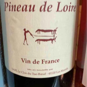 Pineau d'Aunis - Clos du Tue-Bœuf - zoe-louise-thierry-puzelat