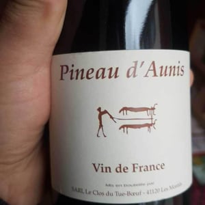 Pineau d'Aunis - Clos du Tue-Bœuf - zoe-louise-thierry-puzelat