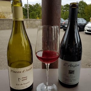 Pineau d'Aunis - Clos du Tue-Bœuf - Zoé, Louise & Thierry Puzelat 